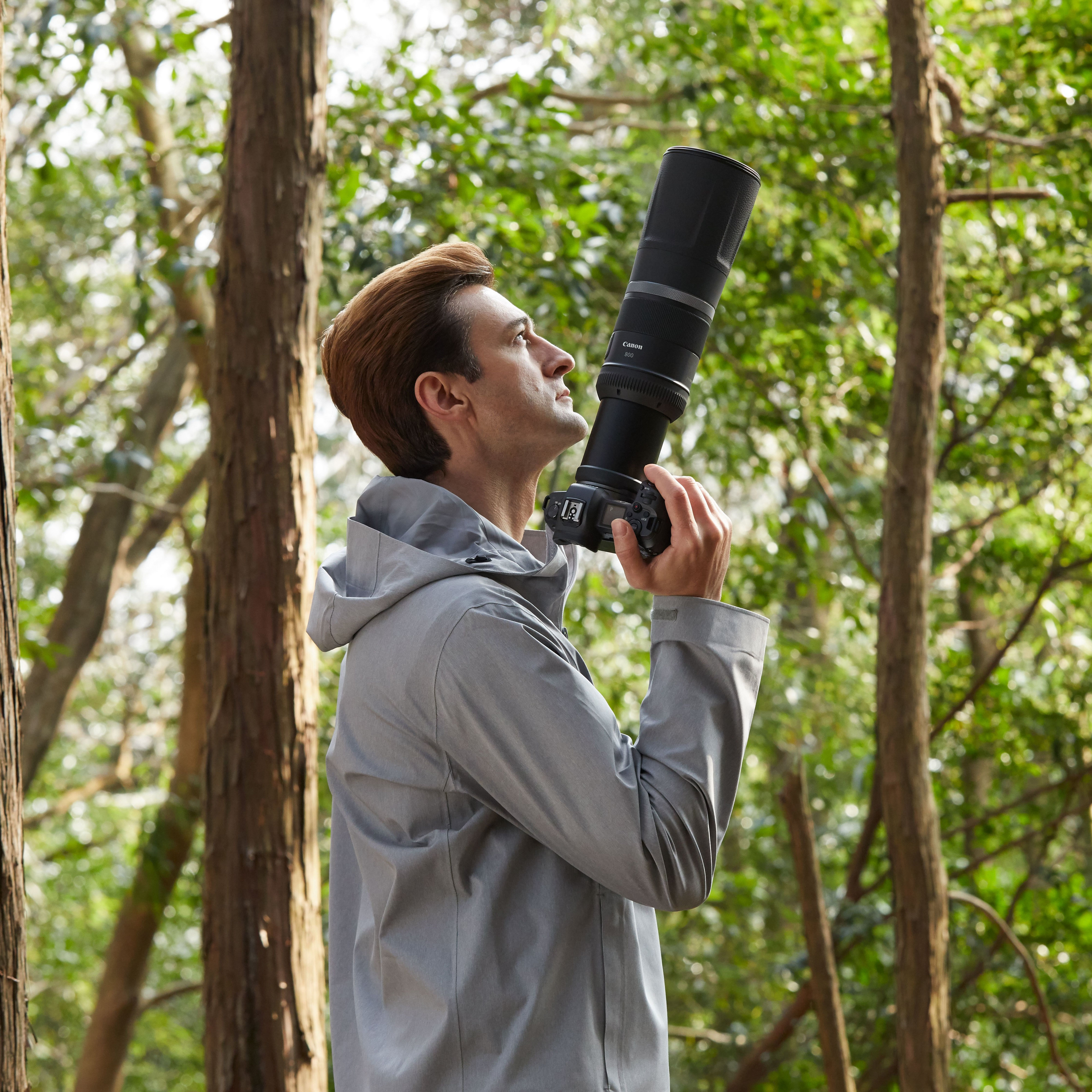 CANON RF 800/11 IS STM