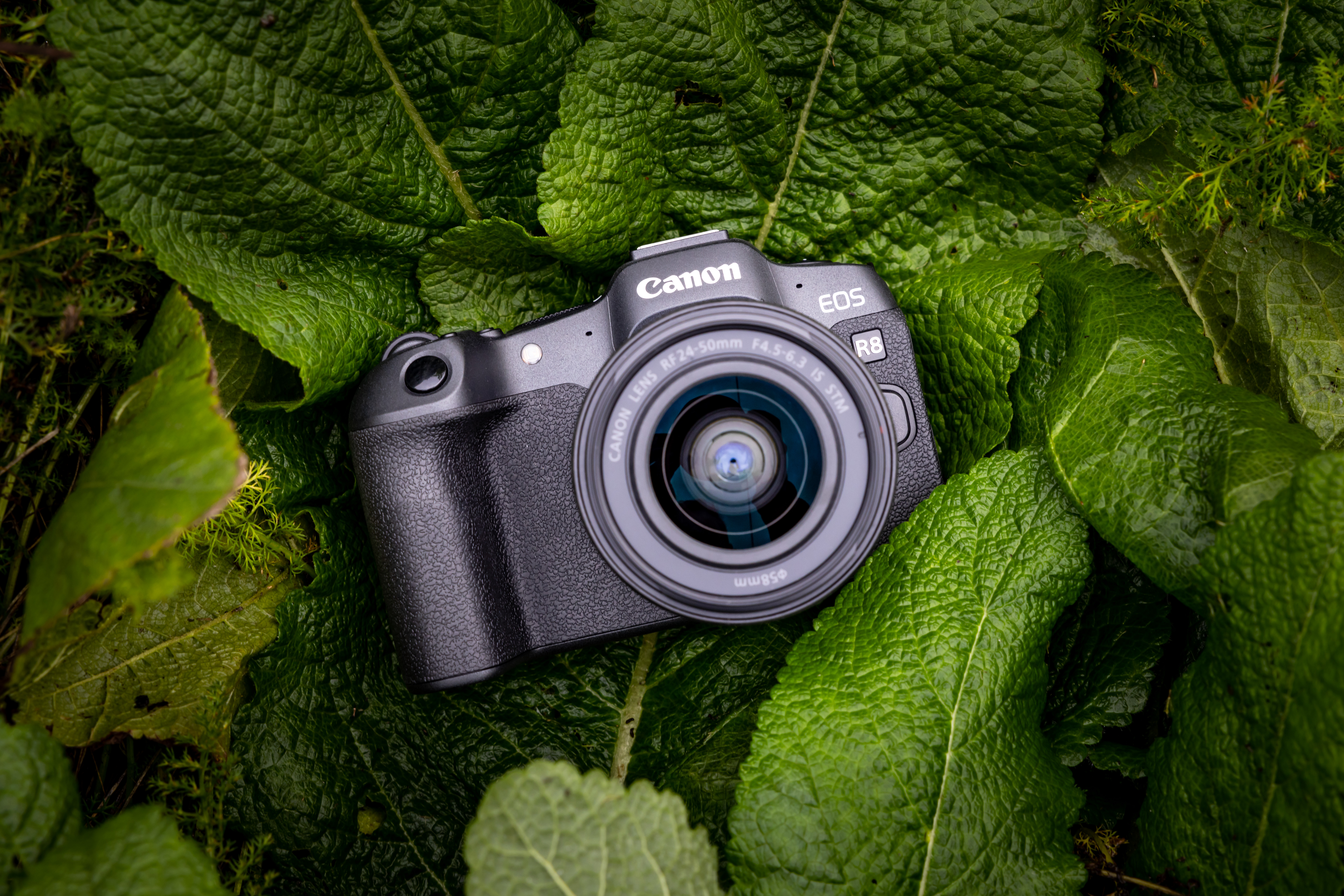 CANON EOS R8 CORPO