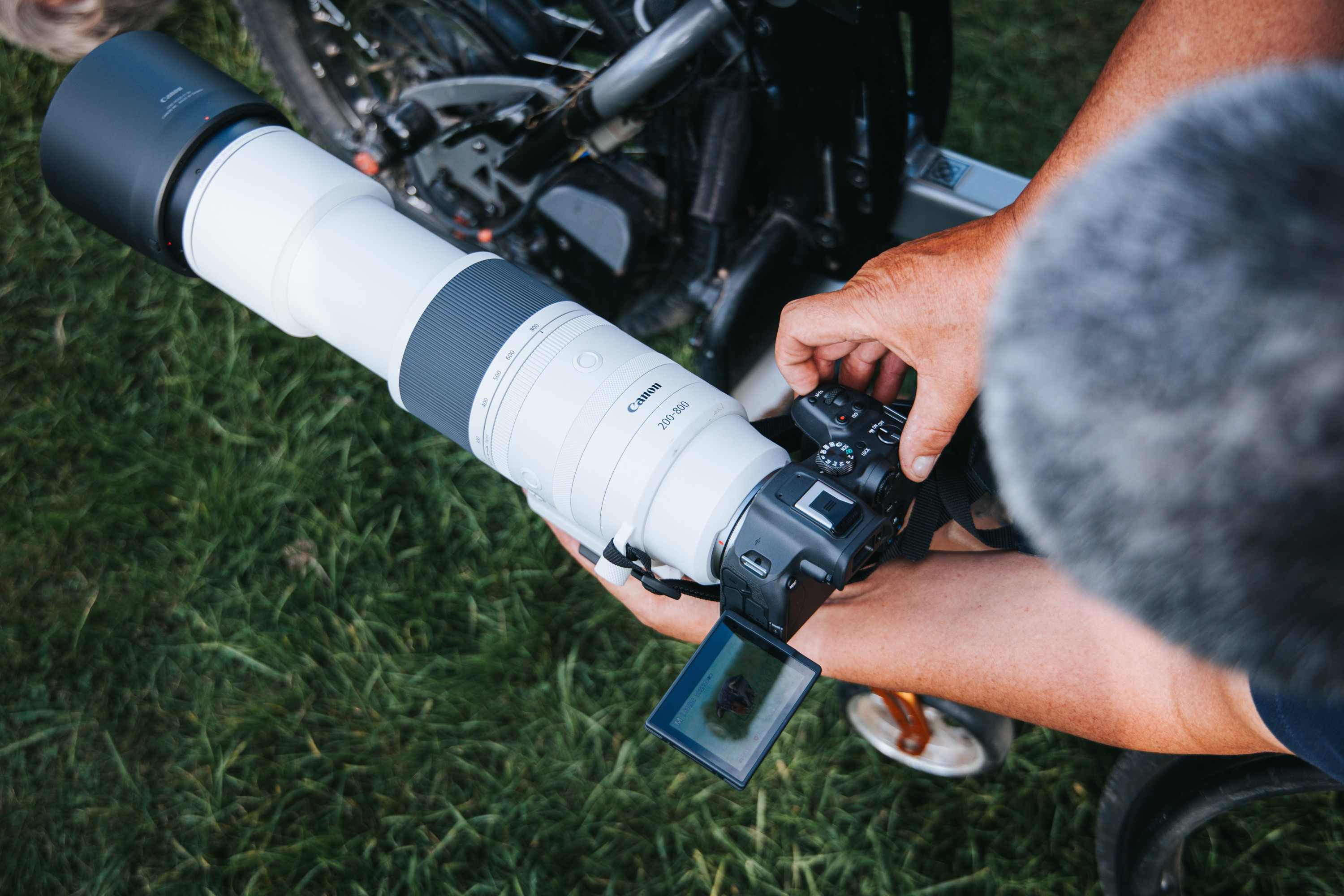 CANON RF 200-800/6,3-9 IS USM