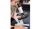 CELESTRON MICROSCOPIO BIOLOGICO 44102