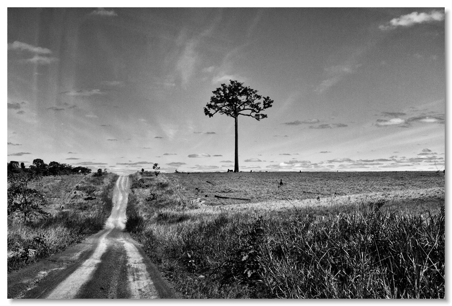 Pino Ninfa Fotografo